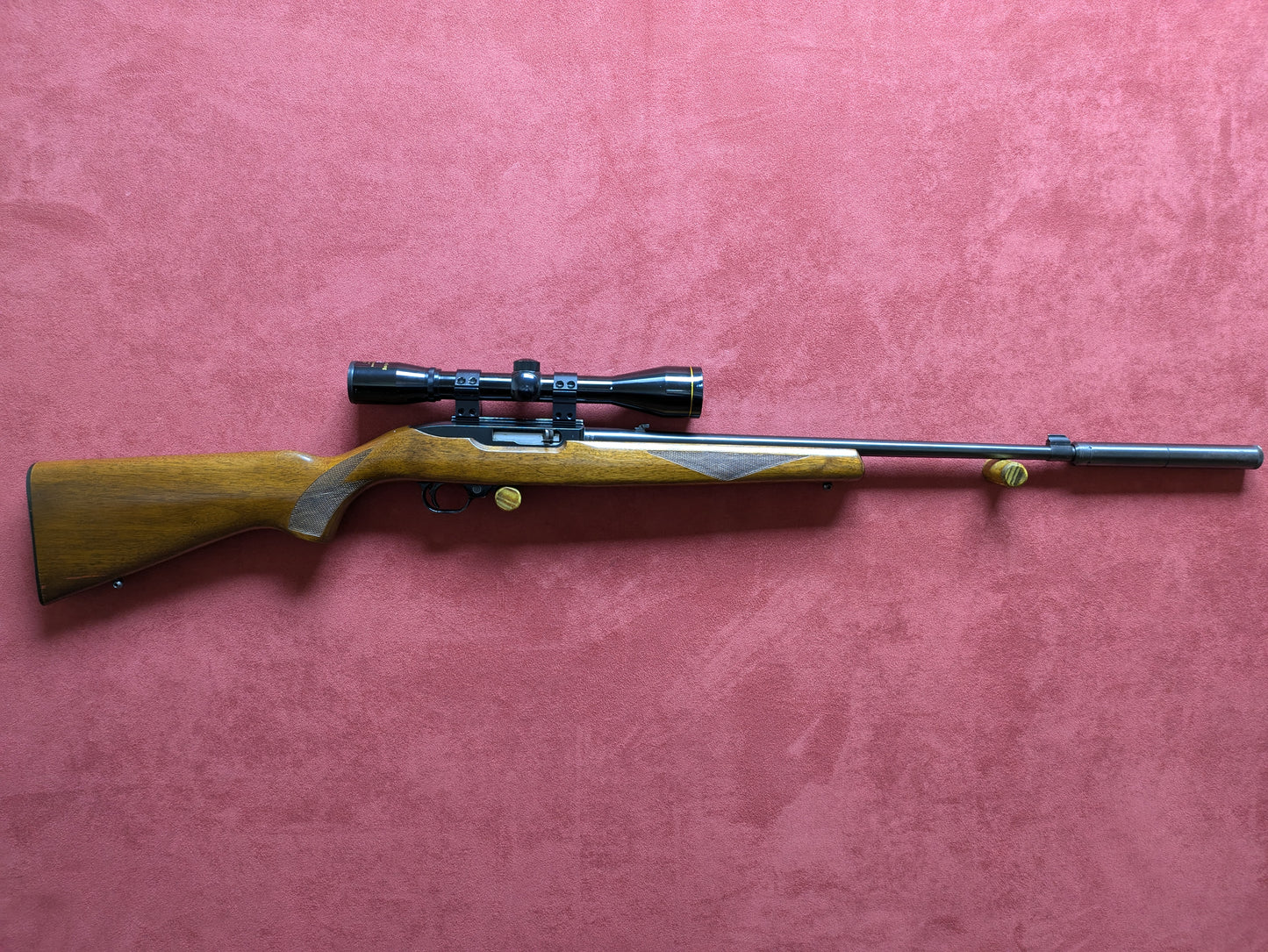 .22lr Ruger 10/22